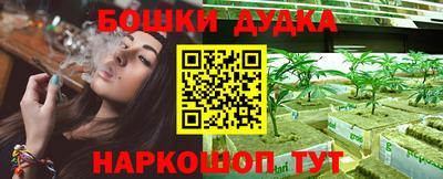 прущие крисы Изобильный