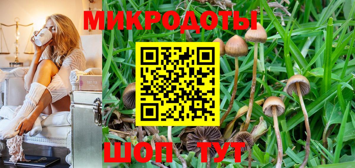 Лениногорск  Галлюциногенные грибы Psilocybine cubensis  Вход с VPN  Псилоцибиновые грибы мухоморы 